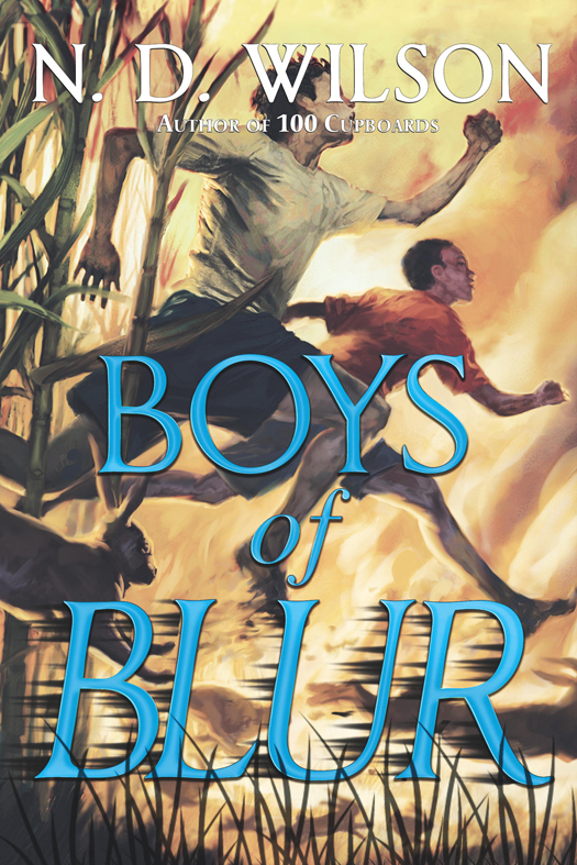 Boys of Blur (2014) by N. D. Wilson