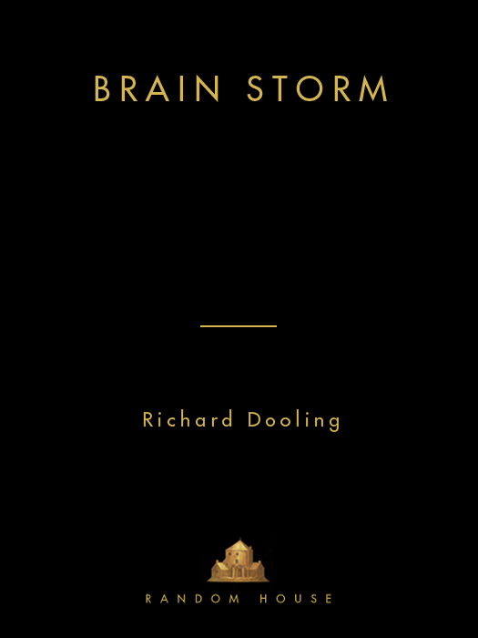 Brain Storm by Richard Dooling