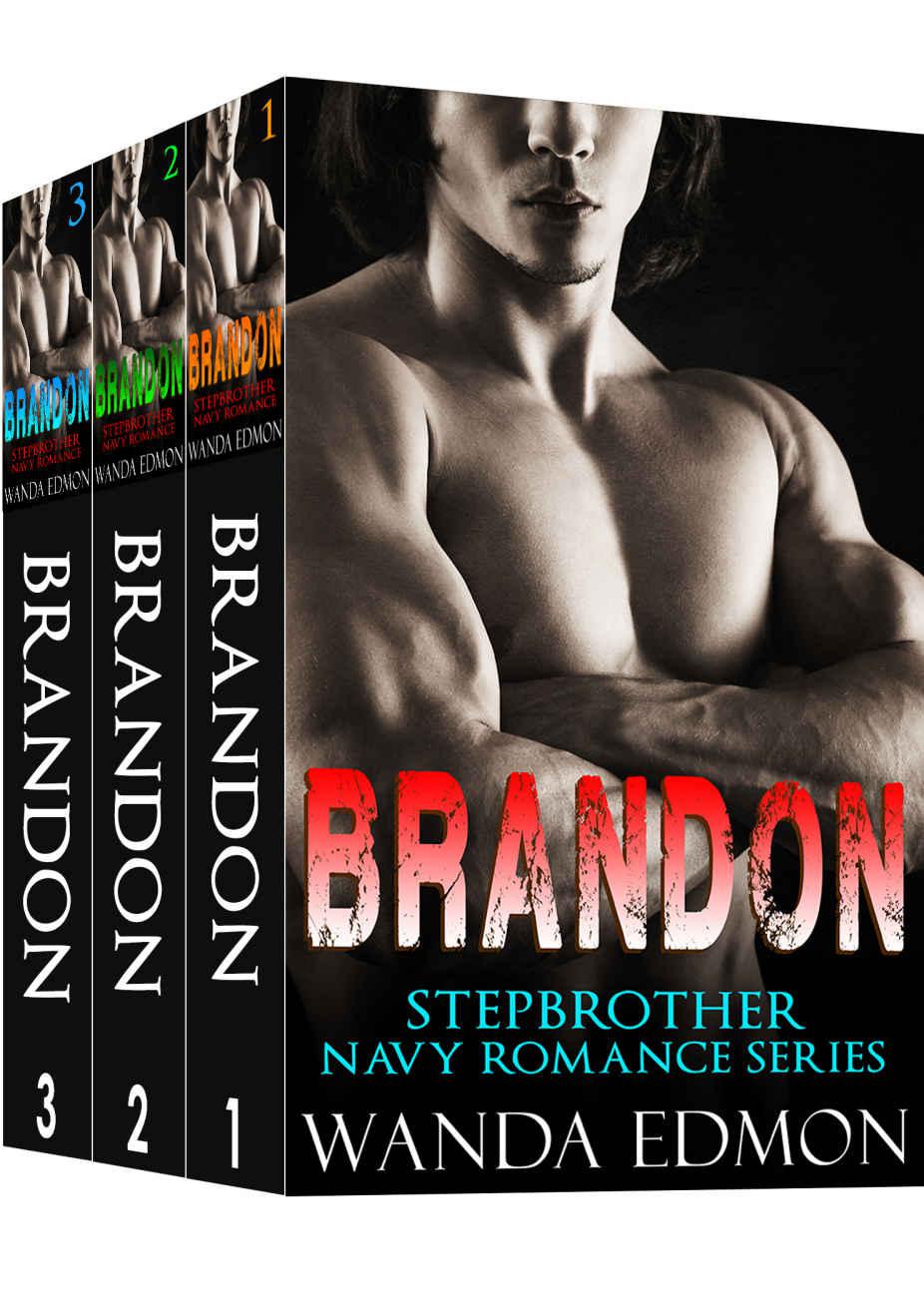 BRANDON: Stepbrother Navy Romance Series by Wanda Edmond