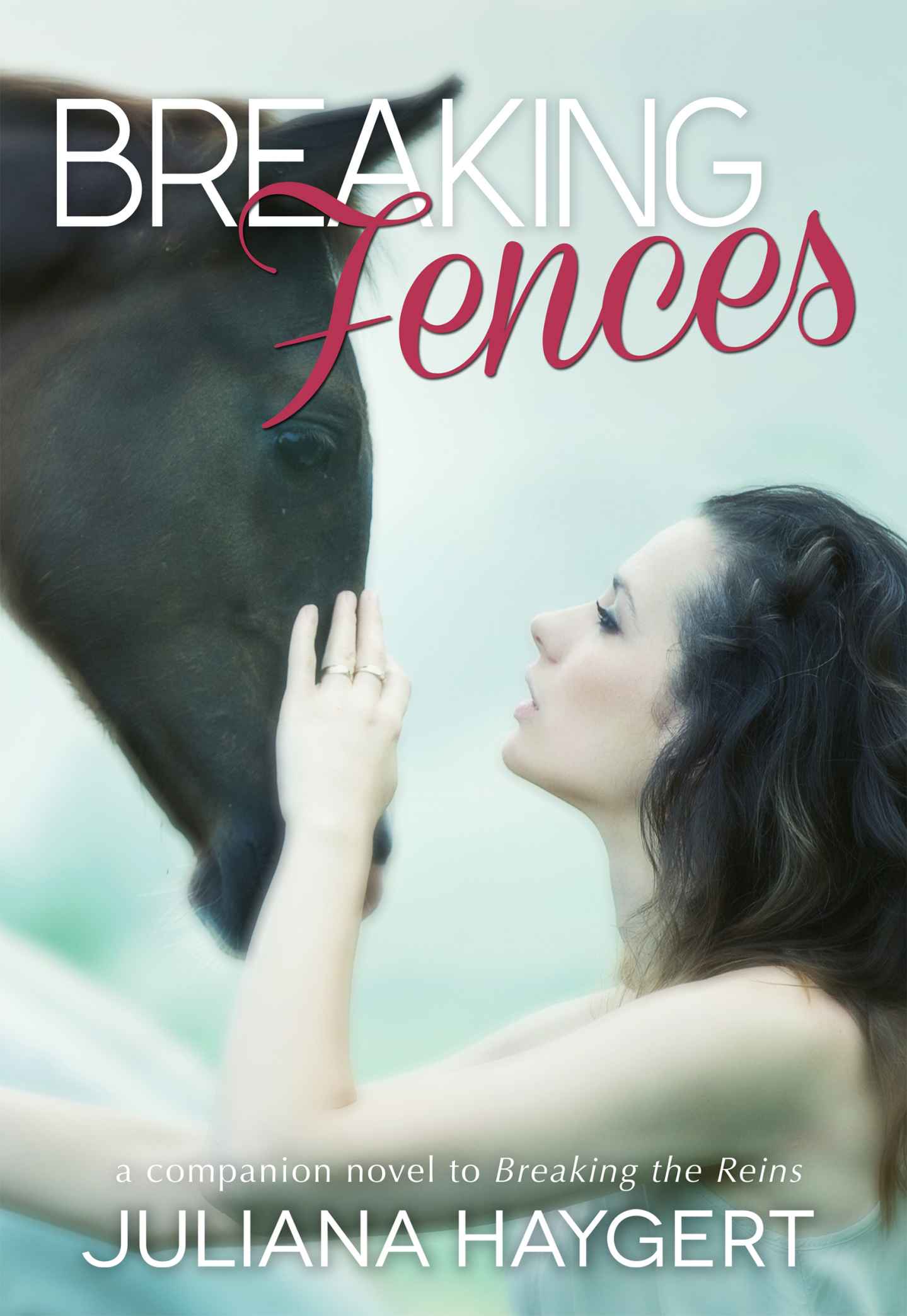 Breaking Fences (The Breaking Series) by Juliana Haygert