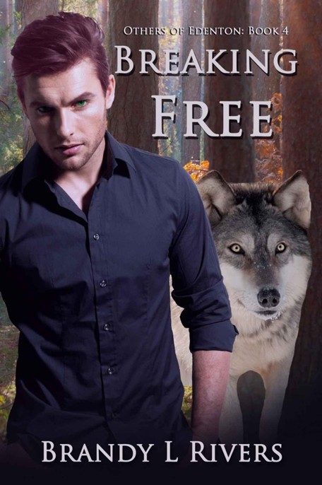 Breaking Free by Brandy L Rivers