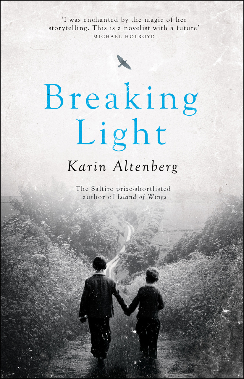 Breaking Light (2014) by Karin Altenberg