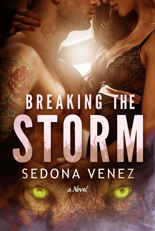 Breaking the Storm by Sedona Venez