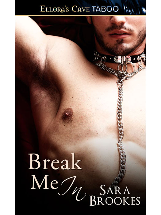 BreakMeIn (2014) by Sara Brookes