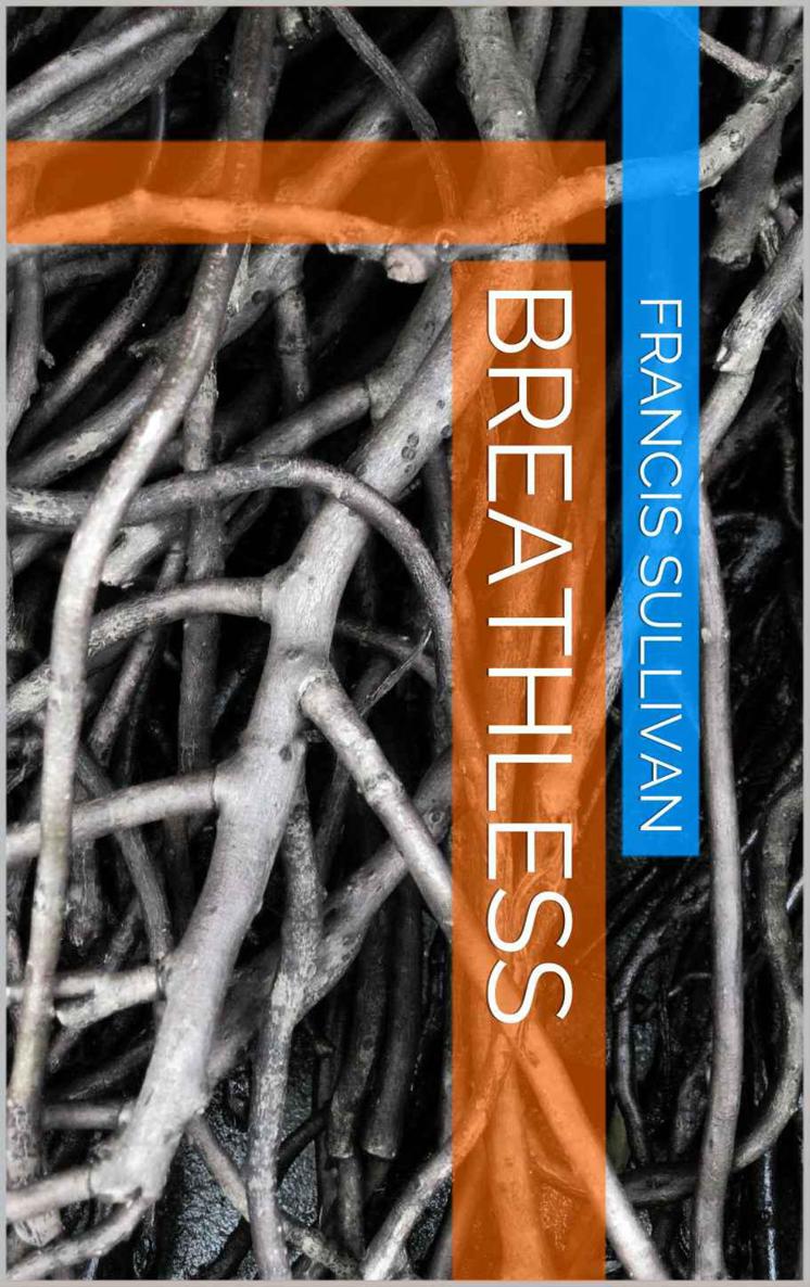 Breathless by Sullivan, Francis