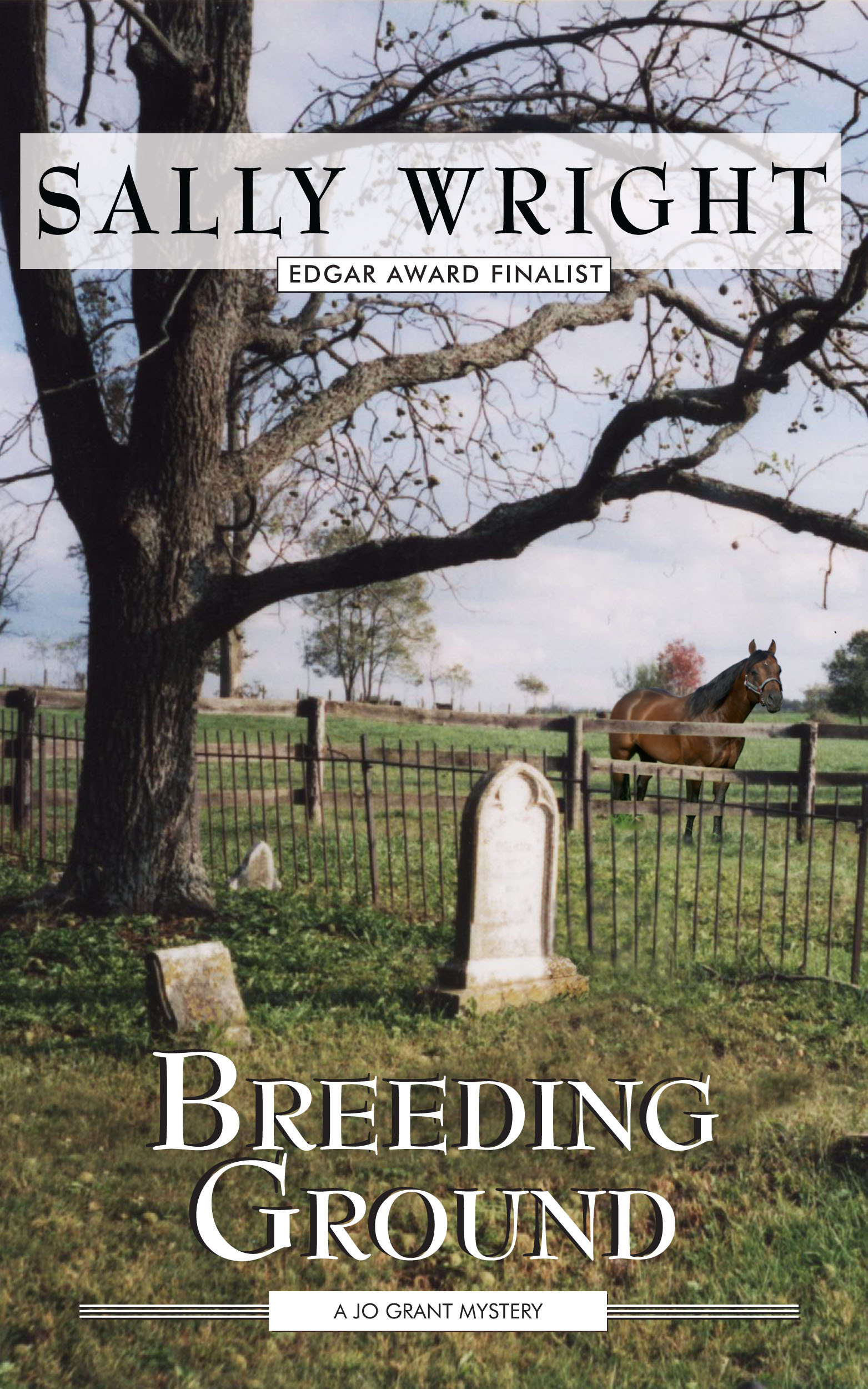 Breeding Ground (2013)