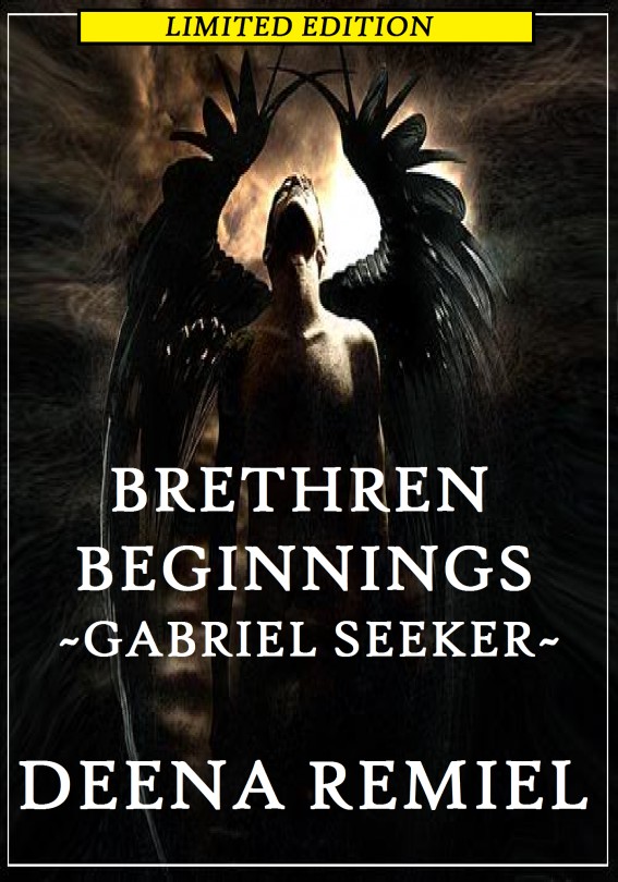 Brethren Beginnings ~ Gabriel Seeker by Deena Remiel