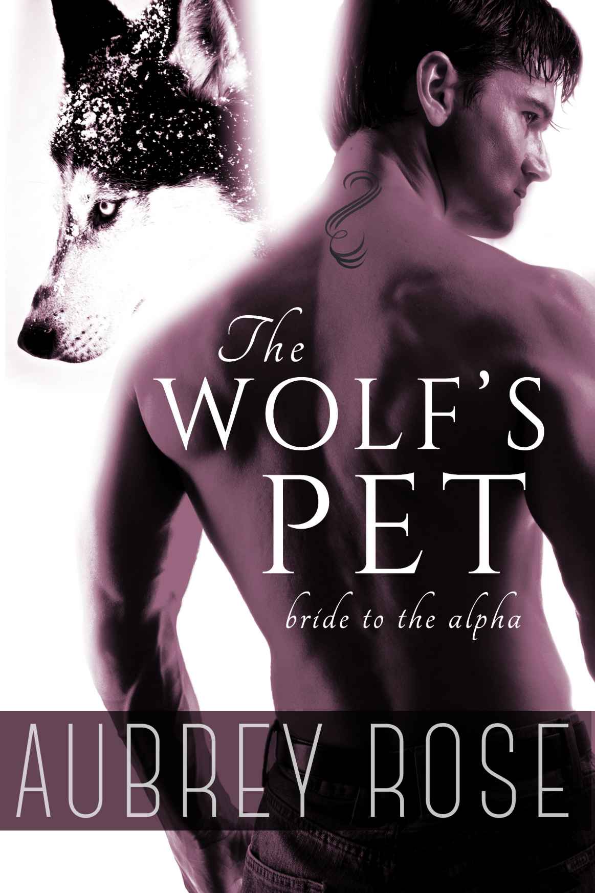 Bride to the Alpha (The Wolf's Pet Book Two)