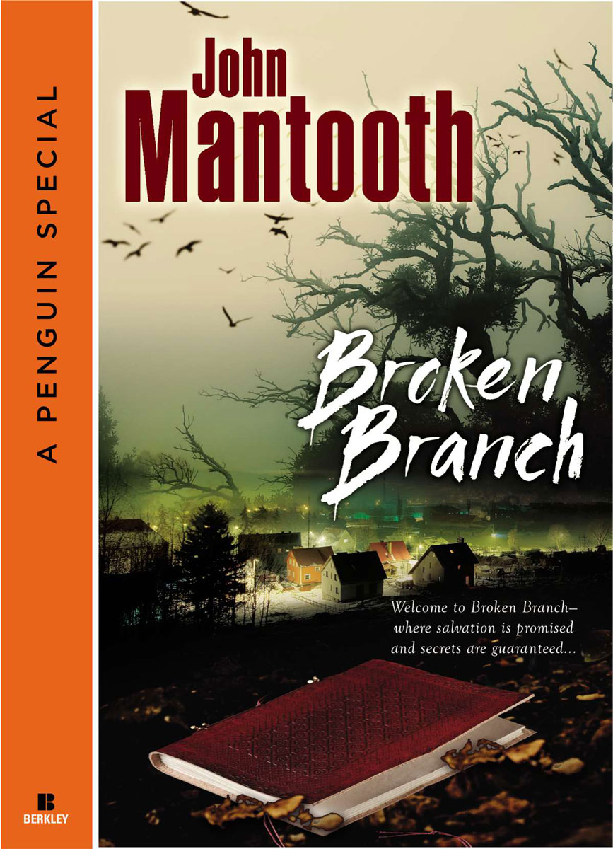 Broken Branch by John Mantooth