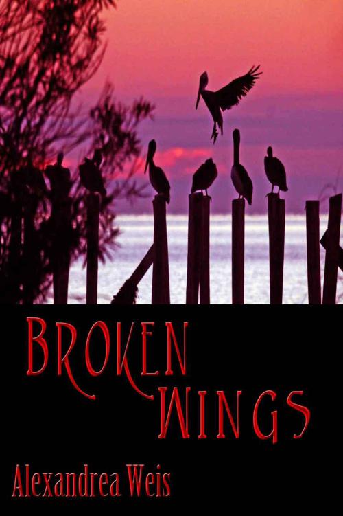 Broken Wings by Weis, Alexandrea