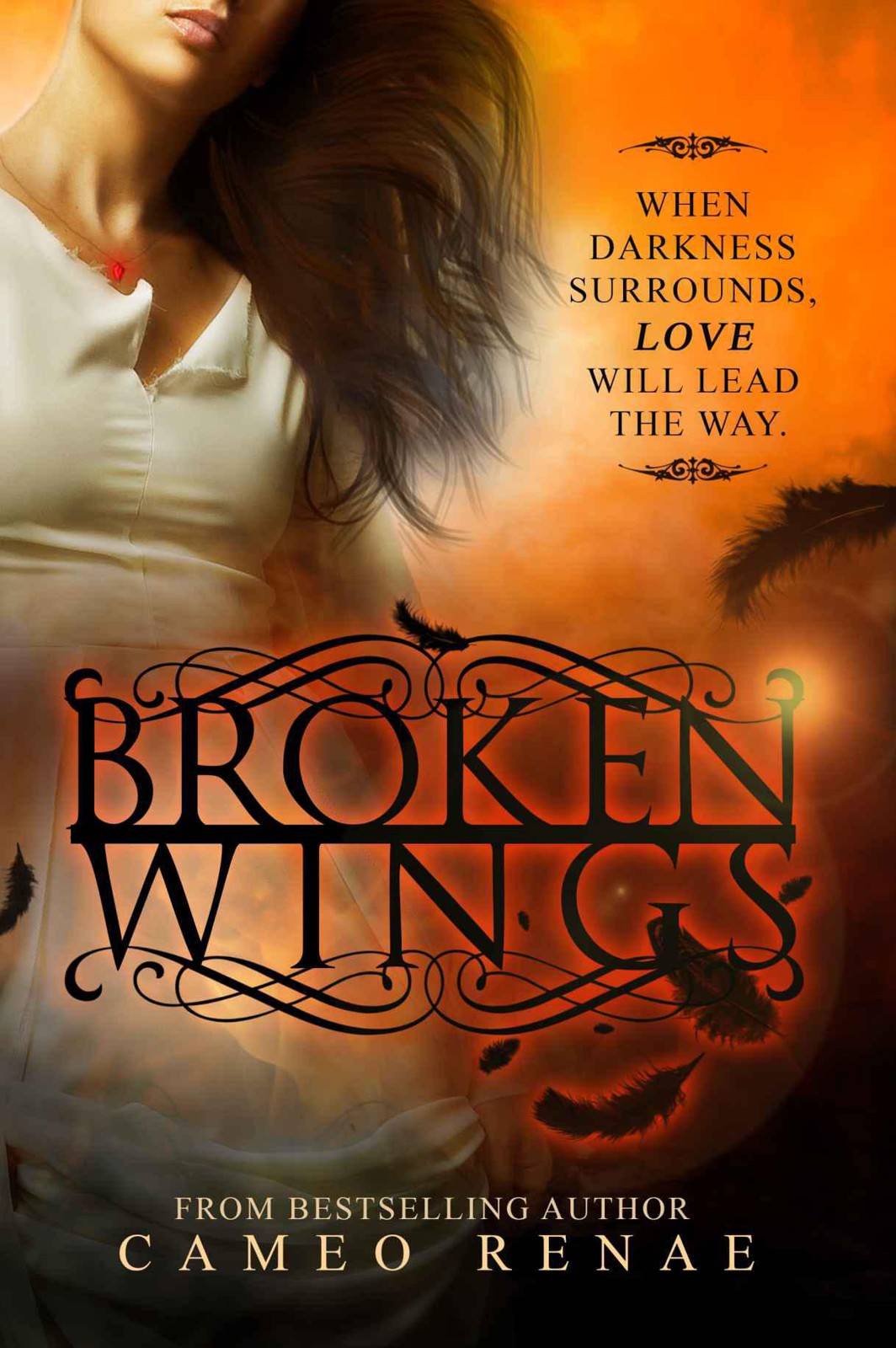 Broken Wings (Hidden Wings Series Book Two) by Renae, Cameo