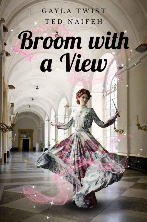 Broom with a View by Twist, Gayla