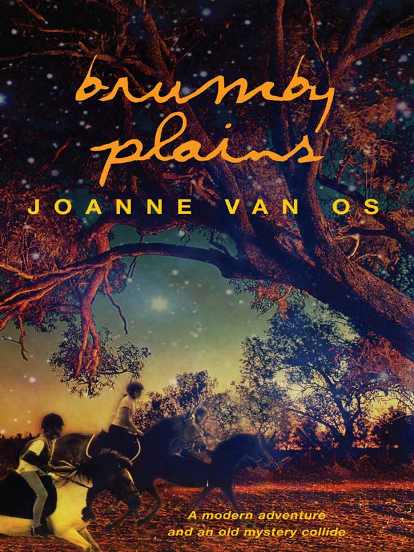 Brumby Plains (2006) by Joanne Van Os