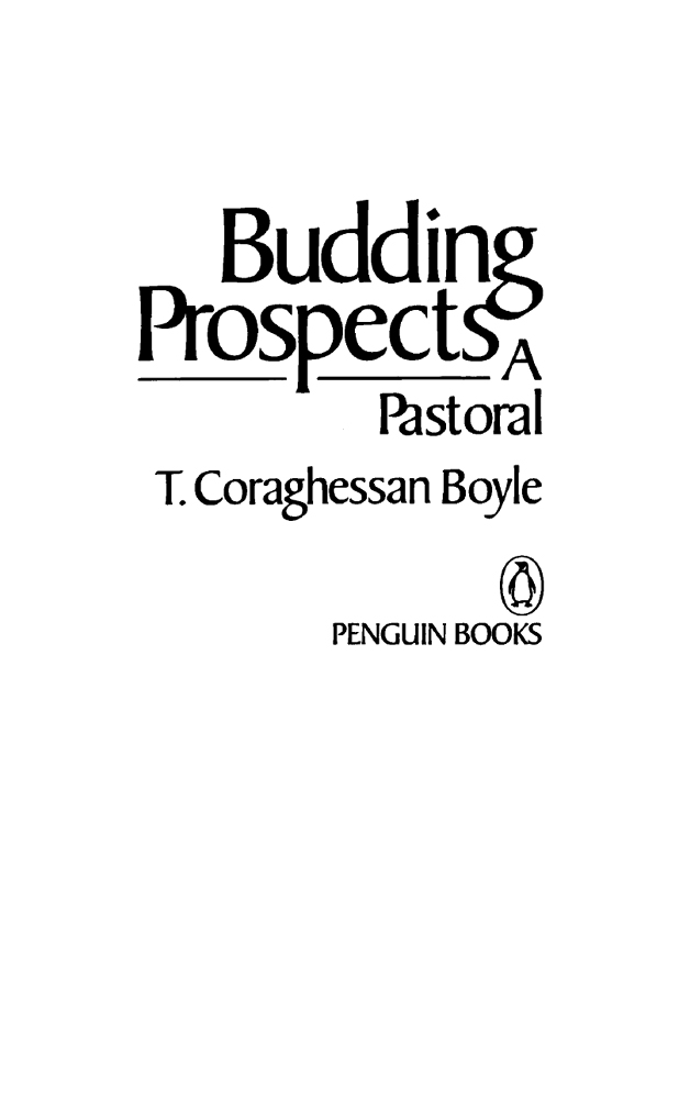 Budding Prospects (1990) by T.C. Boyle