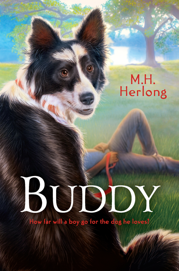 Buddy (2012) by M.H. Herlong