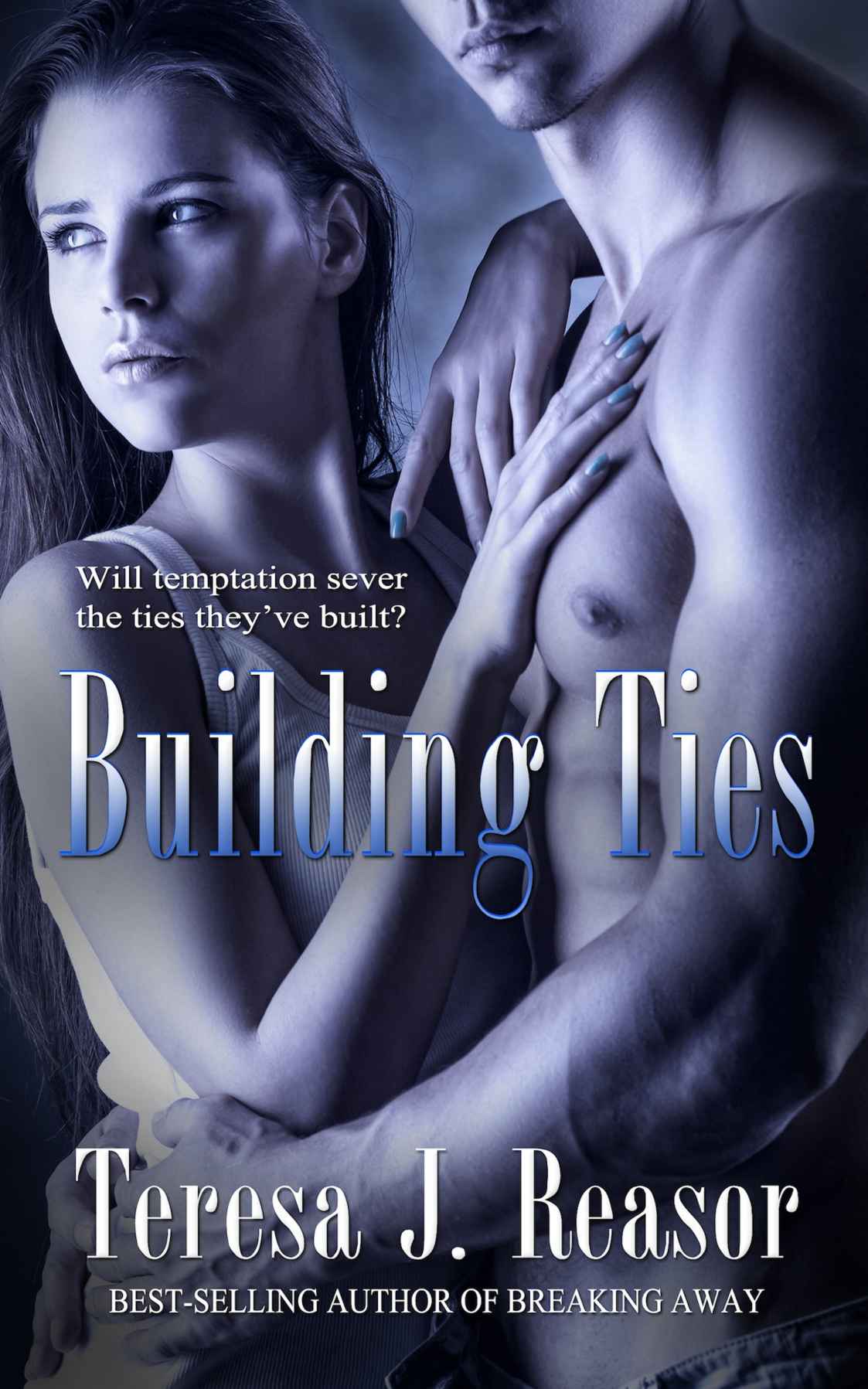 Building Ties (Military Romantic Suspense) (SEAL Team Heartbreakers Book 4)