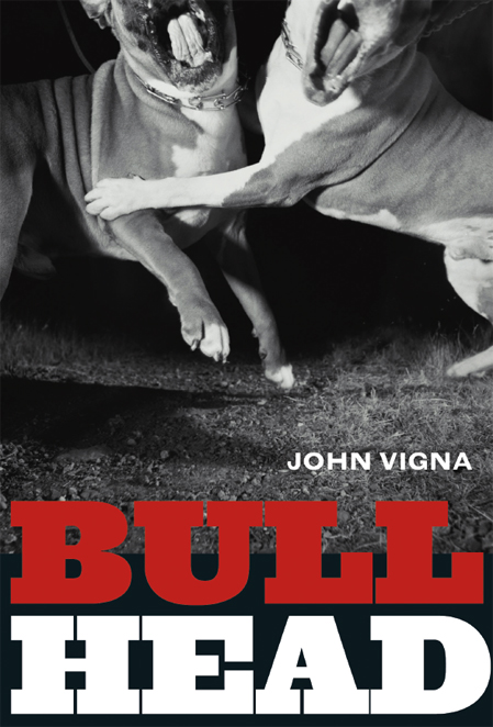 Bull Head by John Vigna