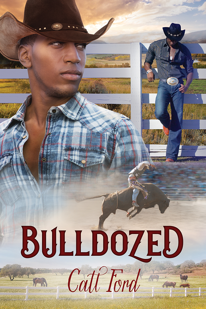 Bulldozed (2016) by Catt Ford