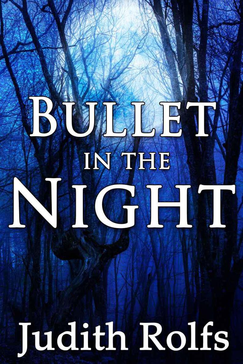 Bullet in the Night by Judith Rolfs