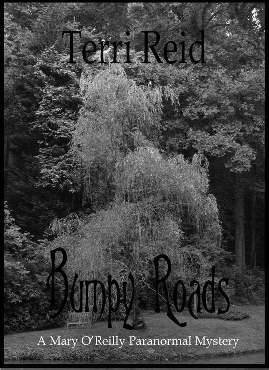 Bumpy Roads - A Mary O'Reilly Paranormal Mystery (Book 11) (The Mary O'Reilly Paranormal Mystery Series) by Reid, Terri