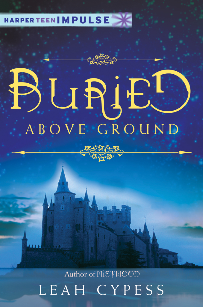 Buried Above Ground (2013) by Leah Cypess