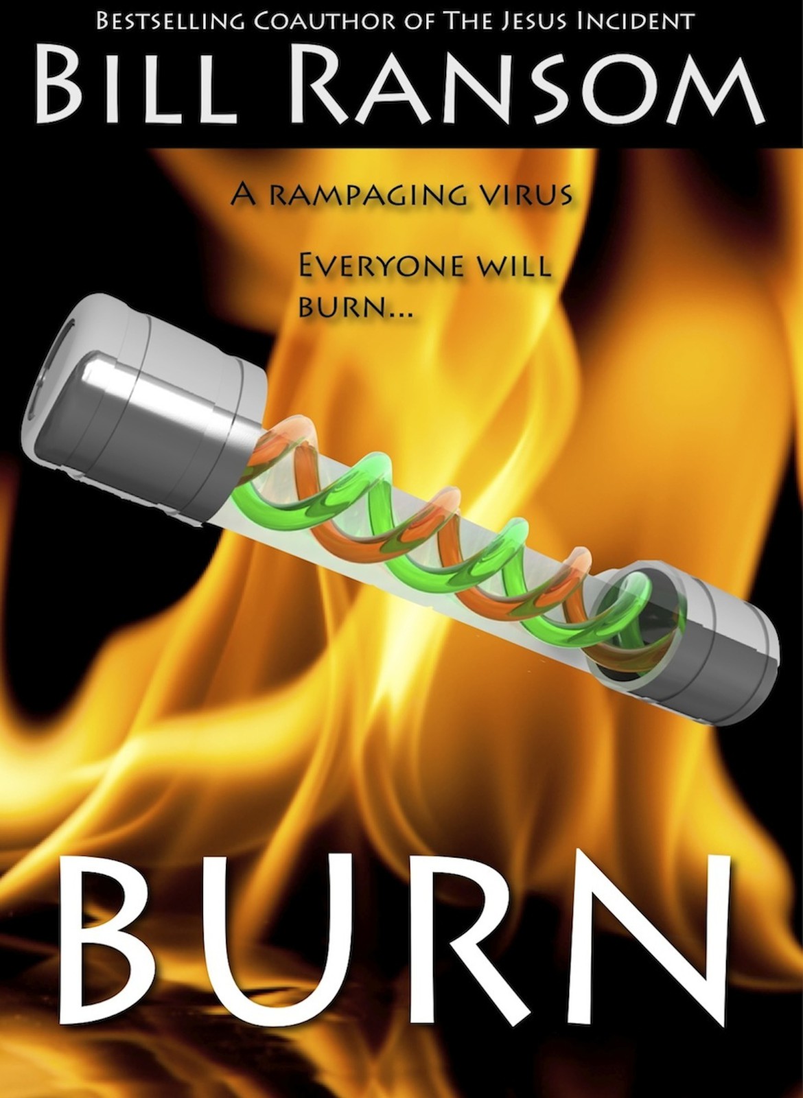 Burn by Bill Ransom