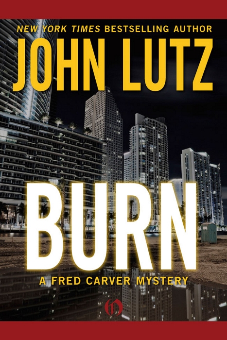 Burn (2011) by John Lutz