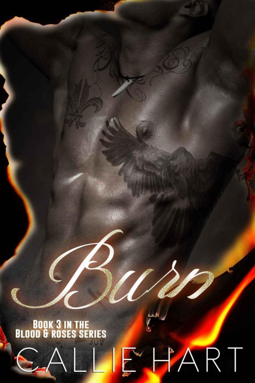 Burn by Callie Hart