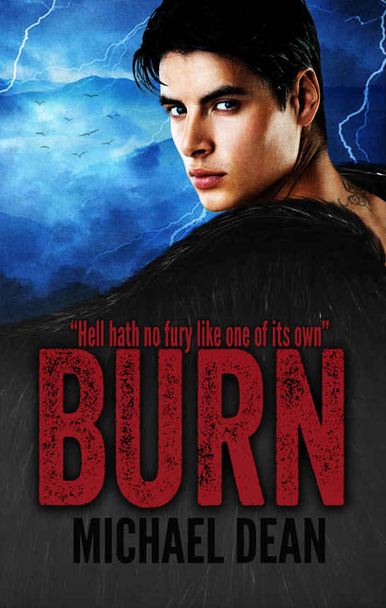 Burn (Drift Book 3)