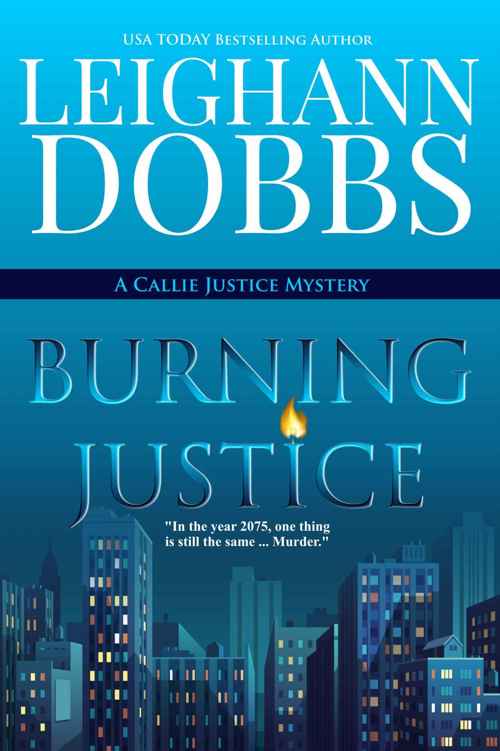 Burning Justice by Leighann Dobbs