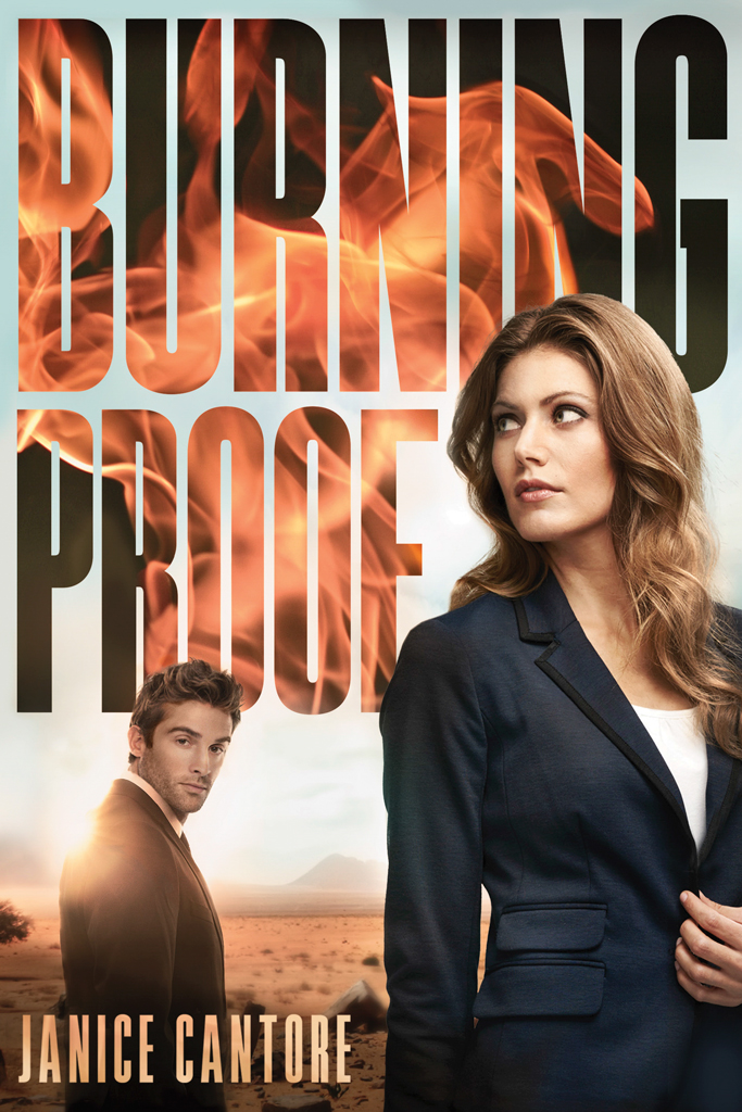 Burning Proof (2016) by Janice Cantore