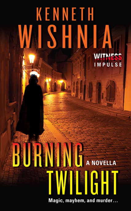 Burning Twilight by Kenneth Wishnia