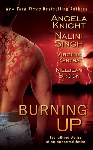 Burning Up by Angela Knight