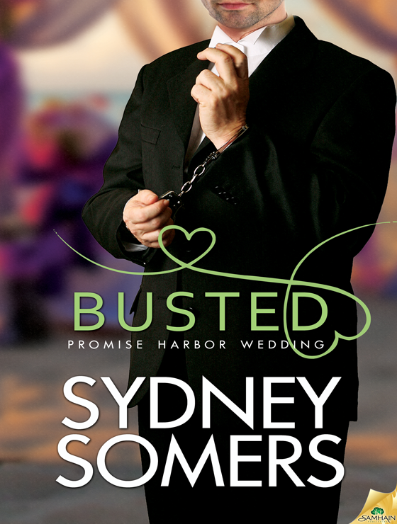 Busted: Promise Harbor, Book 3 (2013) by Sydney Somers