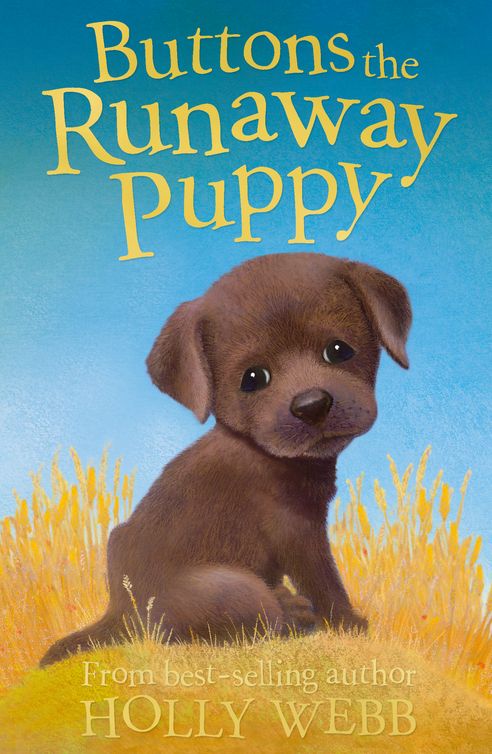 Buttons the Runaway Puppy (2012) by Holly Webb