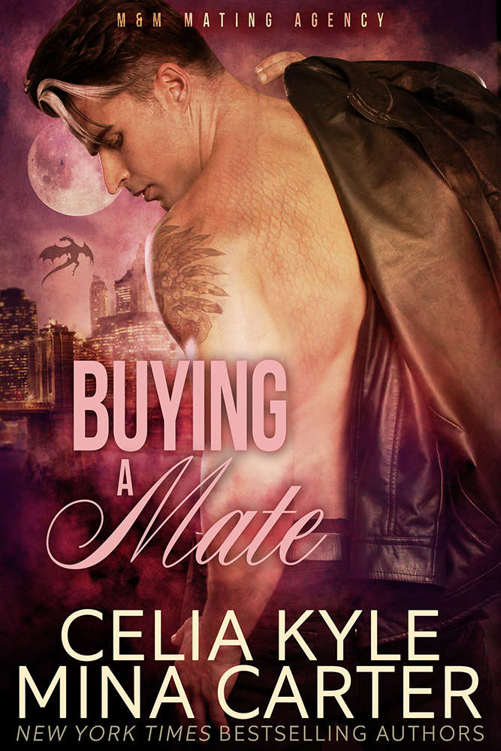 Buying a Mate (BBW Paranormal Shapeshifter Romance) (Quick & Furry Book 8)