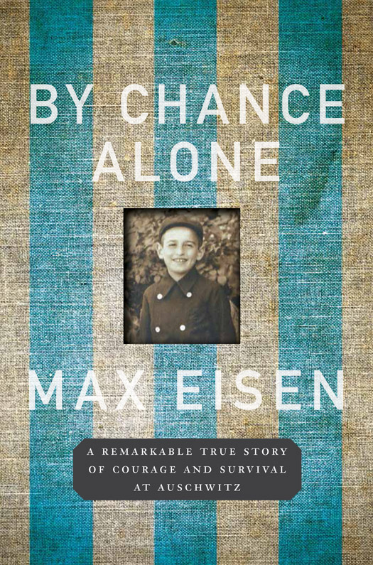 By Chance Alone (2016) by Max Eisen