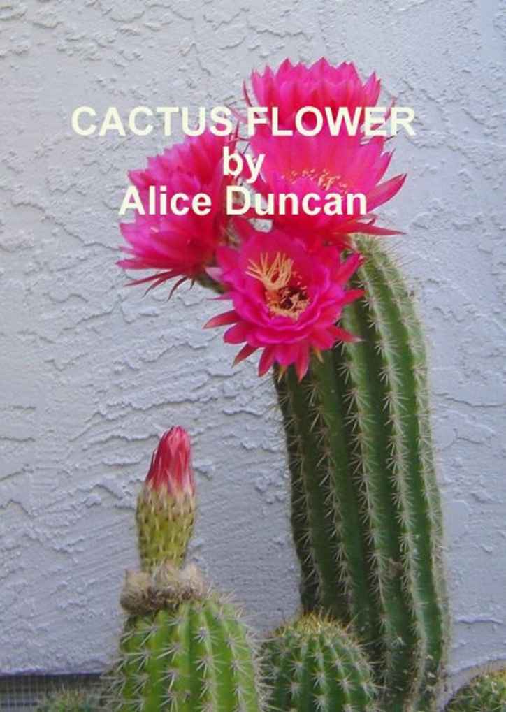 Cactus Flower by Duncan, Alice