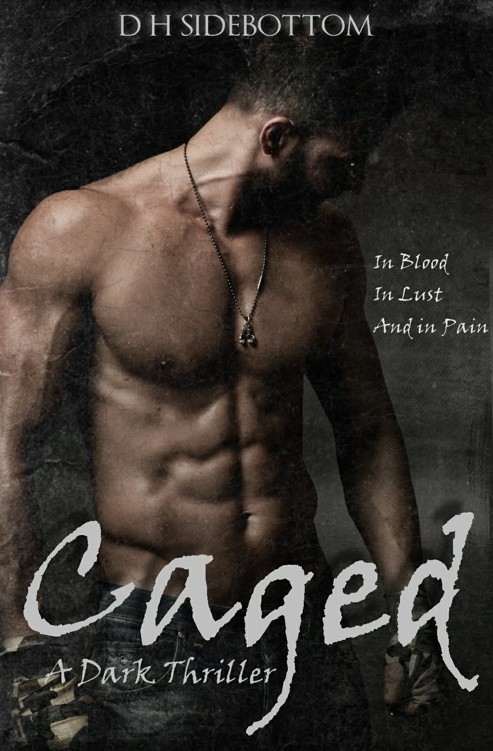 Caged by D H Sidebottom