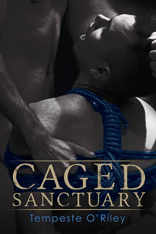 Caged Sanctuary (2014) by Tempeste O'Riley