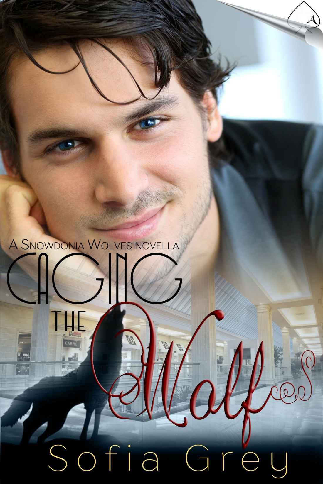 Caging the Wolf (Snowdonia Wolves) by Sofia Grey