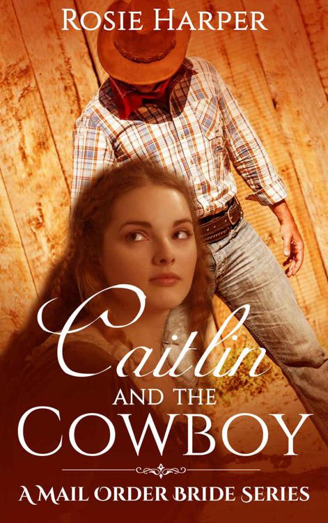 Caitlin And The Cowboy (Western Night Series 4) by Rosie Harper