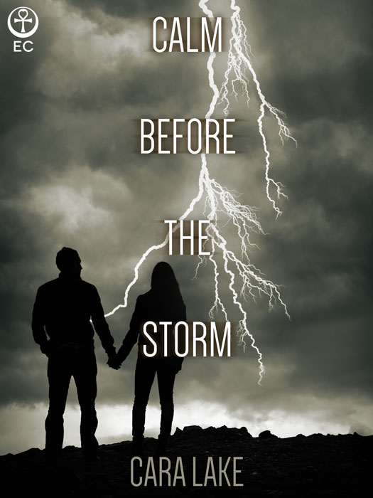 Calm Before the Storm (2015)