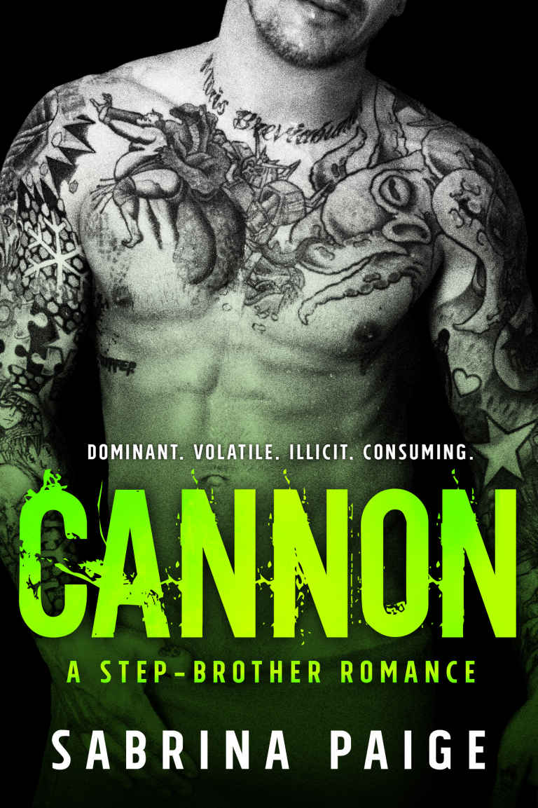 Cannon (A Step Brother Romance #3) by Sabrina Paige