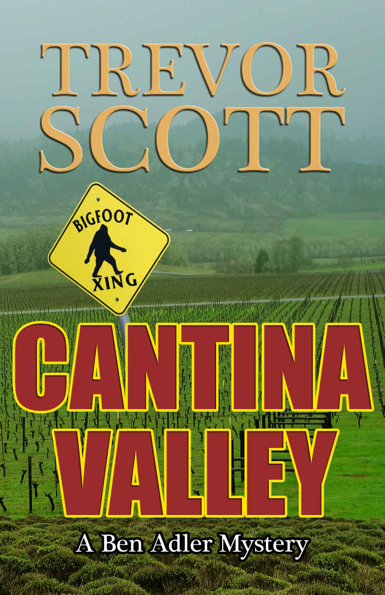 Cantina Valley (A Ben Adler Mystery Book 1) by Trevor Scott