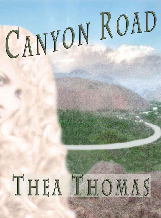 Canyon Road by Thomas, Thea