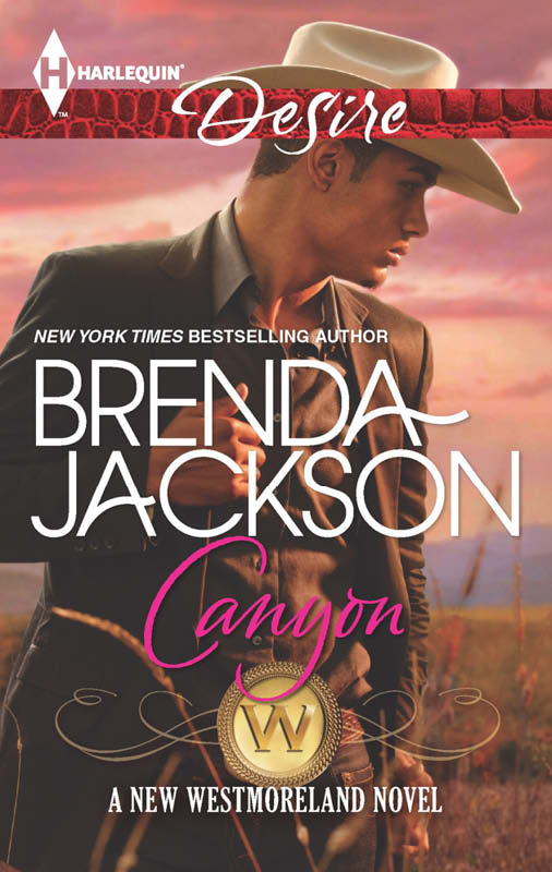 Canyon by Brenda Jackson