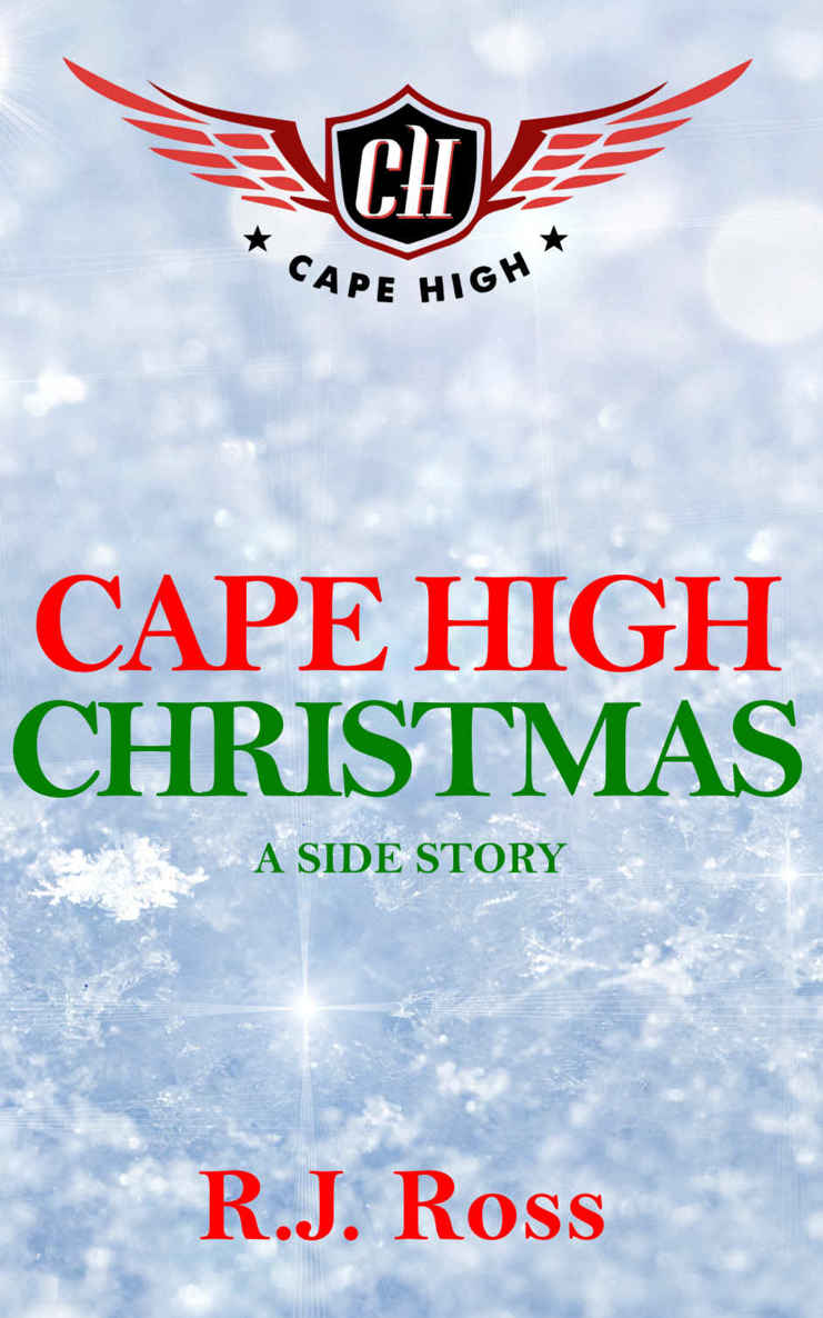 Cape High Christmas: A Side Story (Cape High Series) by R.J. Ross