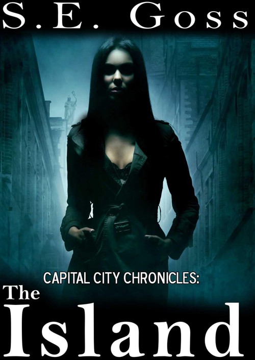 Capital City Chronicles: The Island by Goss, S.E.