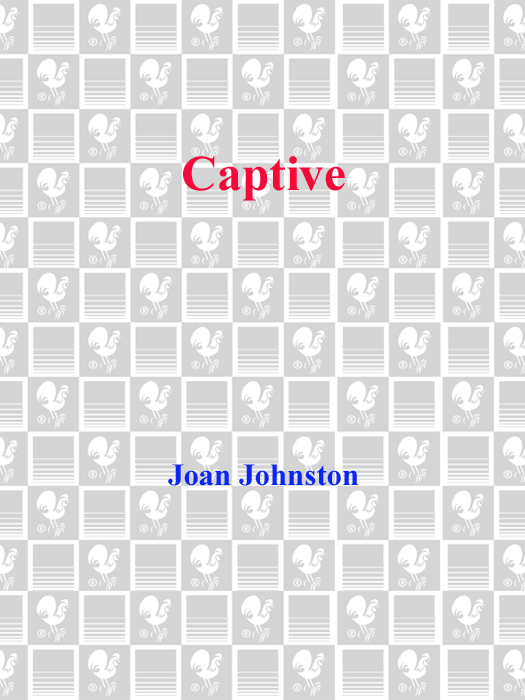 Captive (2014) by Joan Johnston